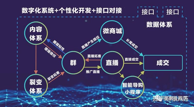 私域流量运营系统:构建企业增长的内循环网络